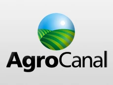 Logo Oficial Canal Rural HD